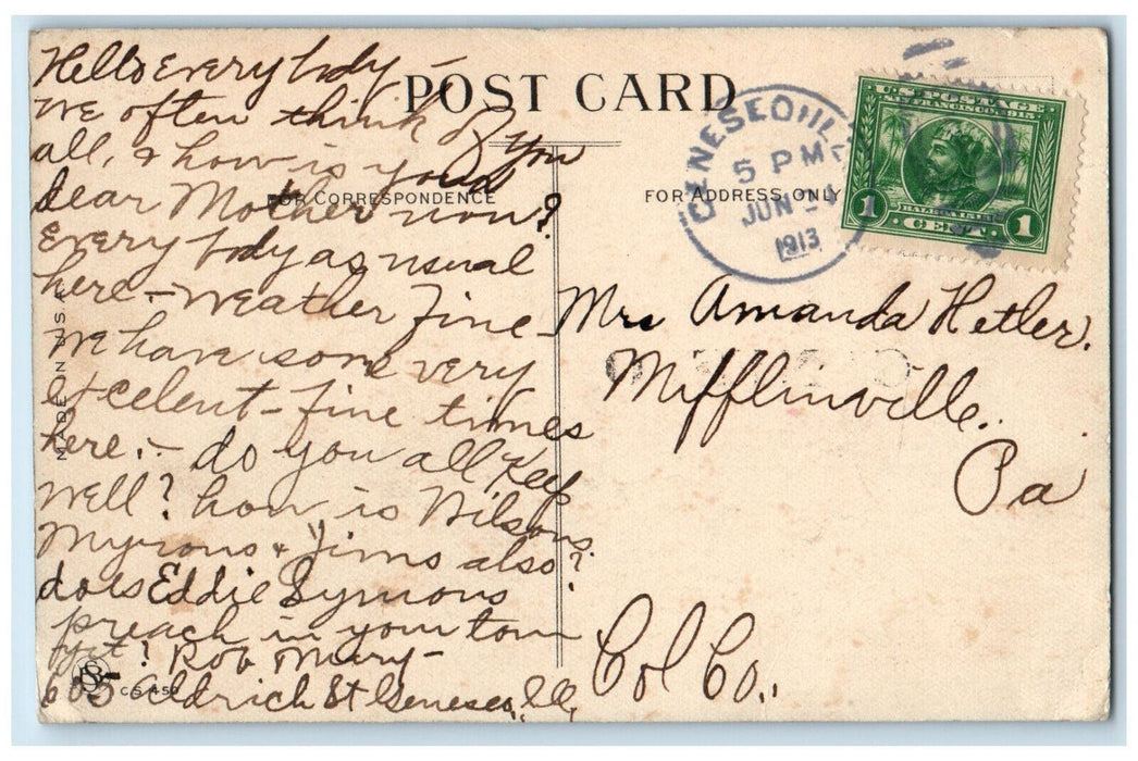 1913 Dutchkid with Needle Heart Town of Geneseo Illinois IL Postcard