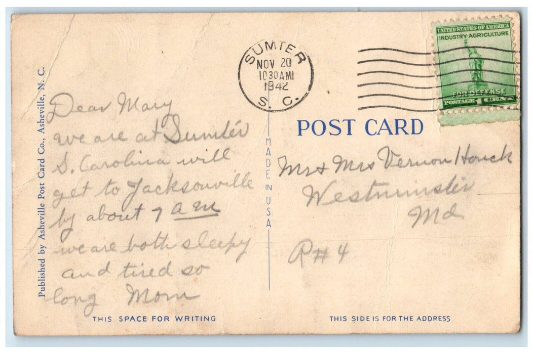 1942 A Walk In Iris Gardens Sumter South Carolina SC, Flowers View Postcard
