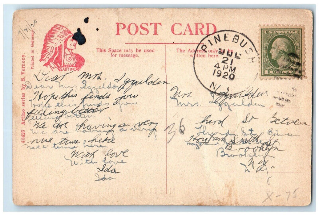 1920 Residence Section Exterior House Field Main St. Pine Bush New York Postcard