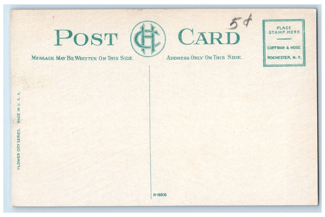 c1910 Japanese Crab Apple in Bloom Highland Park Rochester New York NY Postcard