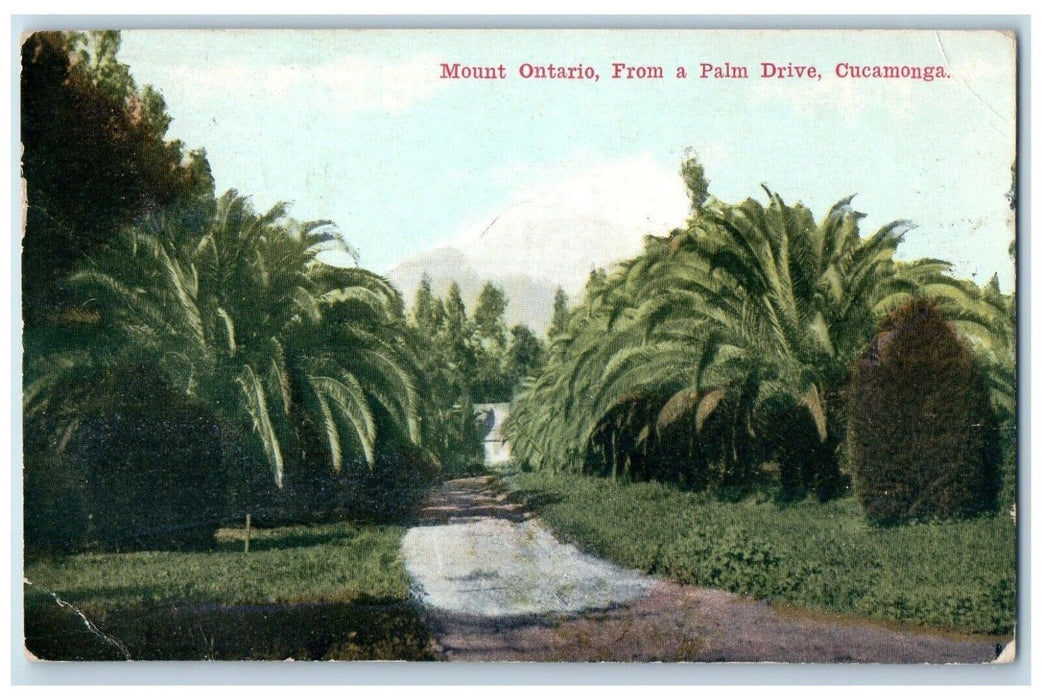 1914 Mount Ontario Palm Drive Garden Road Exterior Cucamonga California Postcard