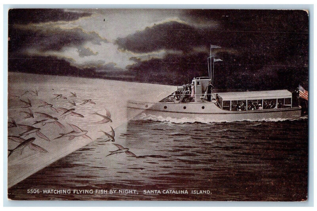 c1910 Watching Flying Fish Night Light Santa Catalina Island California Postcard