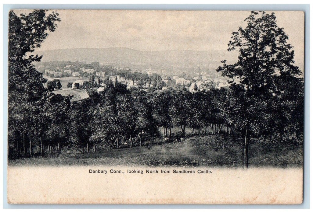 1906 Looking North Sandfords Castle Exterior Field Danbury Connecticut Postcard