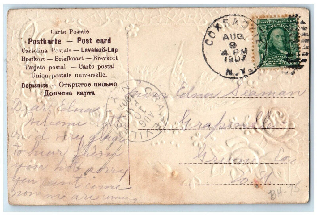 1907 Greetings From Ravena NY Grapeville Dove Flowers Embossed Antique Postcard