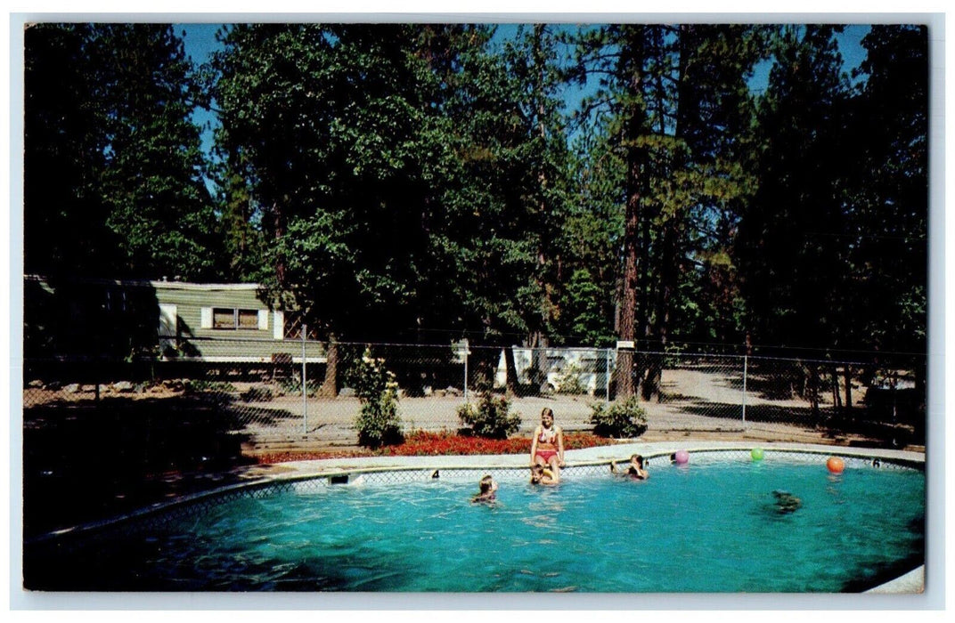 c1950's Lakehead Campground Swimming Pool Lakehead California CA Postcard