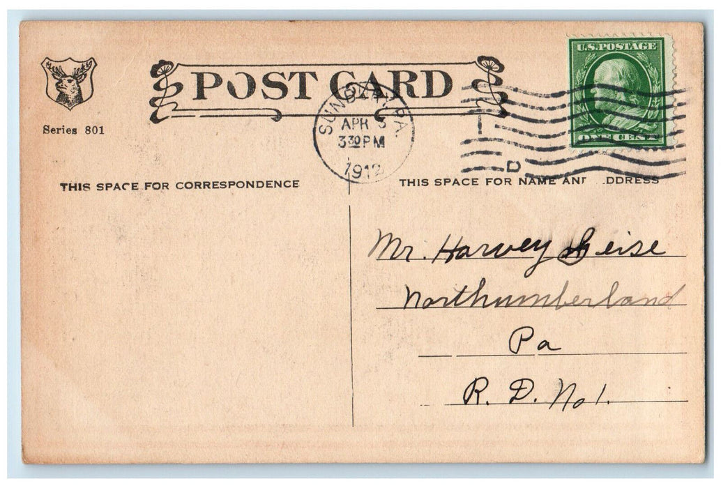 1912 Couple Romance from Swing Sunbury Pennsylvania PA Antique Postcard