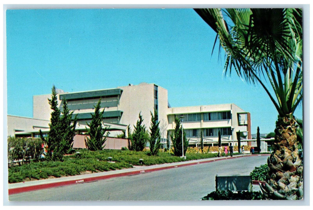 c1960's Greetings from Olvena Street Birthplace of Los Angeles CA Postcard