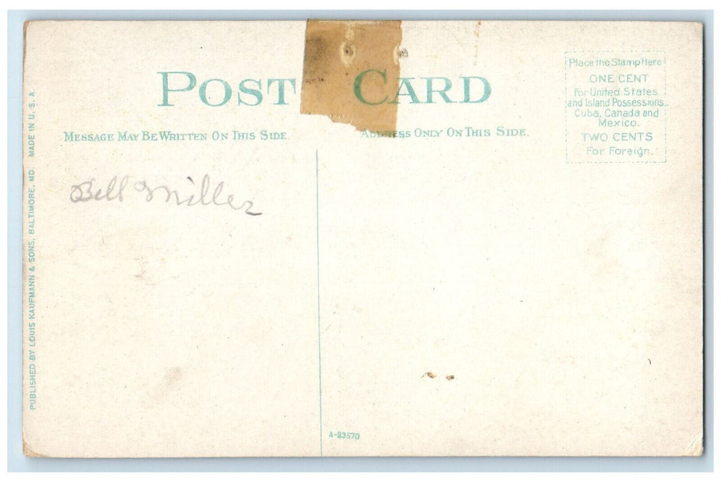 c1910 US Battleship Fleet Hampton Roads Old Point Comfort VA Postcard