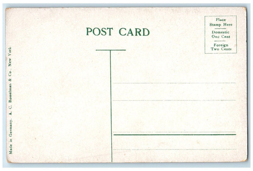 c1910 Country Club Norfolk Virginia VA Antique Unposted AC Bosselman Postcard