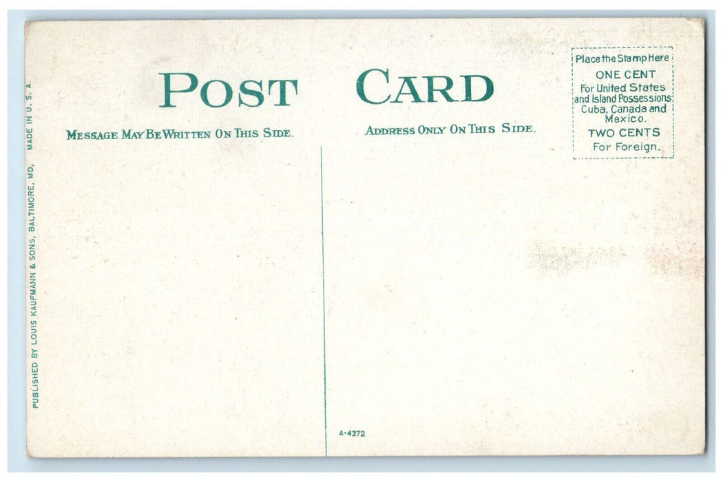 c1910 Signage Lafayette Park Norfolk Virginia VA Antique Unposted Postcard