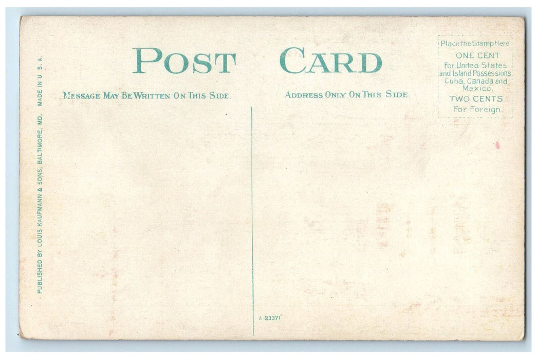 c1910 Park Avenue Brambleton Residential Section Norfolk Virginia VA Postcard