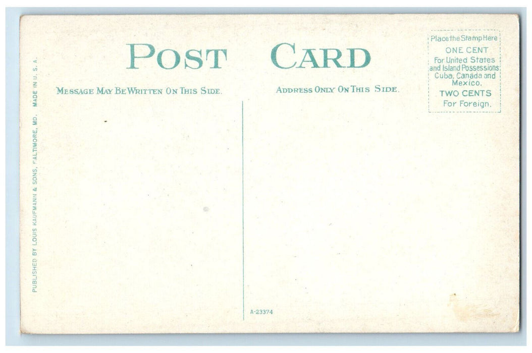 c1910 Buildings Trees Lee Park Norfolk Virginia VA Antique Unposted Postcard