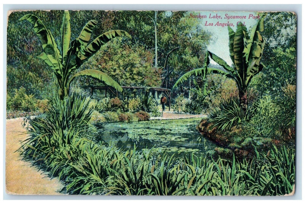 c1910 Sunken Lake Sycamore Park Pond Road Trees Los Angeles California Postcard