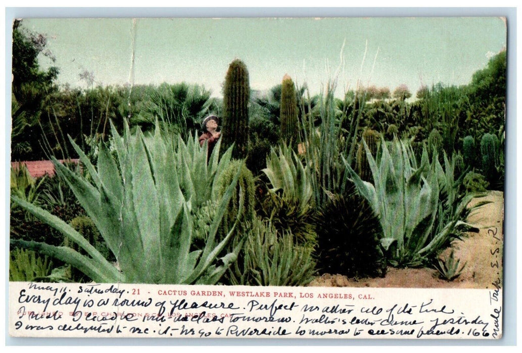 1907 Cactus Garden Westlake Park Plants Exterior Los Angeles California Postcard