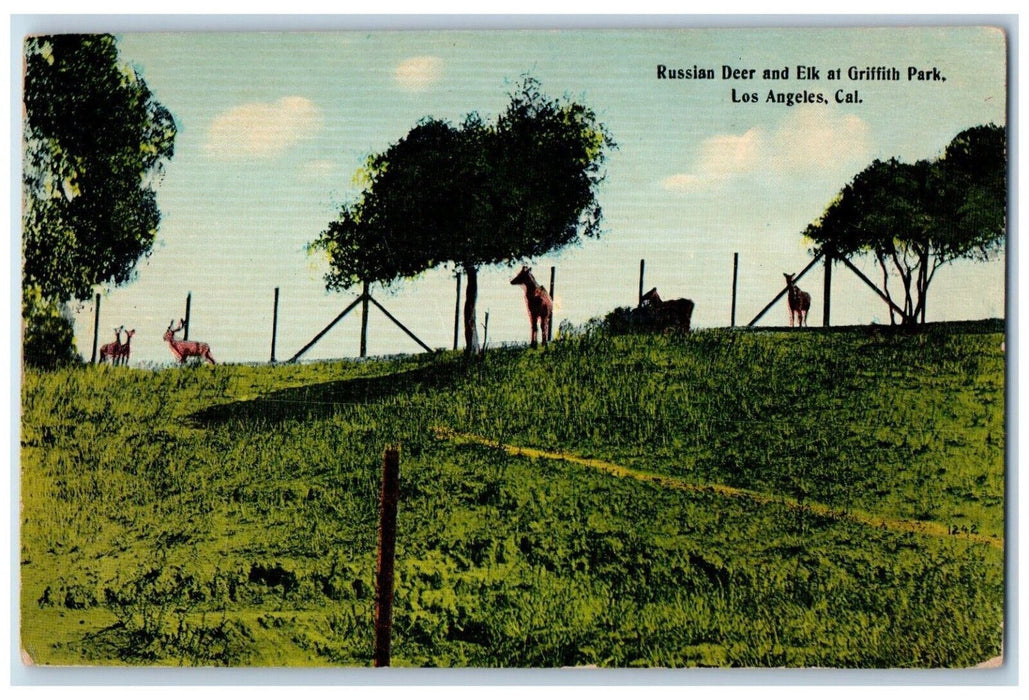 c1910 Russian Deer Elk Griffith Park Animals Los Angeles California CA Postcard