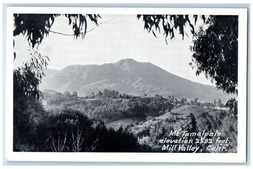 c1940 Mountain Tamalpals Elevation 2592 Feet Mill Valley California CA Postcard