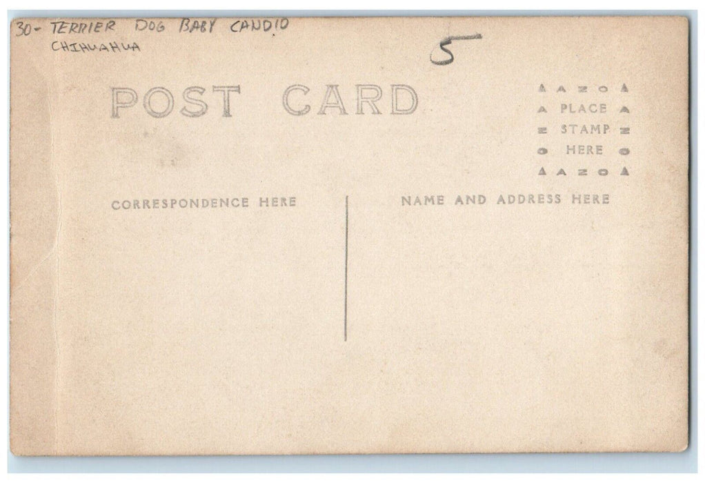 c1910's Terrier Dog Baby Candid Chihuahua RPPC Photo Girls Women Postcard