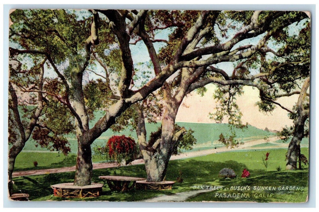 c1910 Oak Trees Busch Sunken Gardens Park Road  Pasadena California CA Postcard