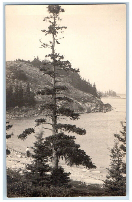 c1910's View Of Barley Hill Sea And Trees Maine ME RPPC Photo Antique Postcard
