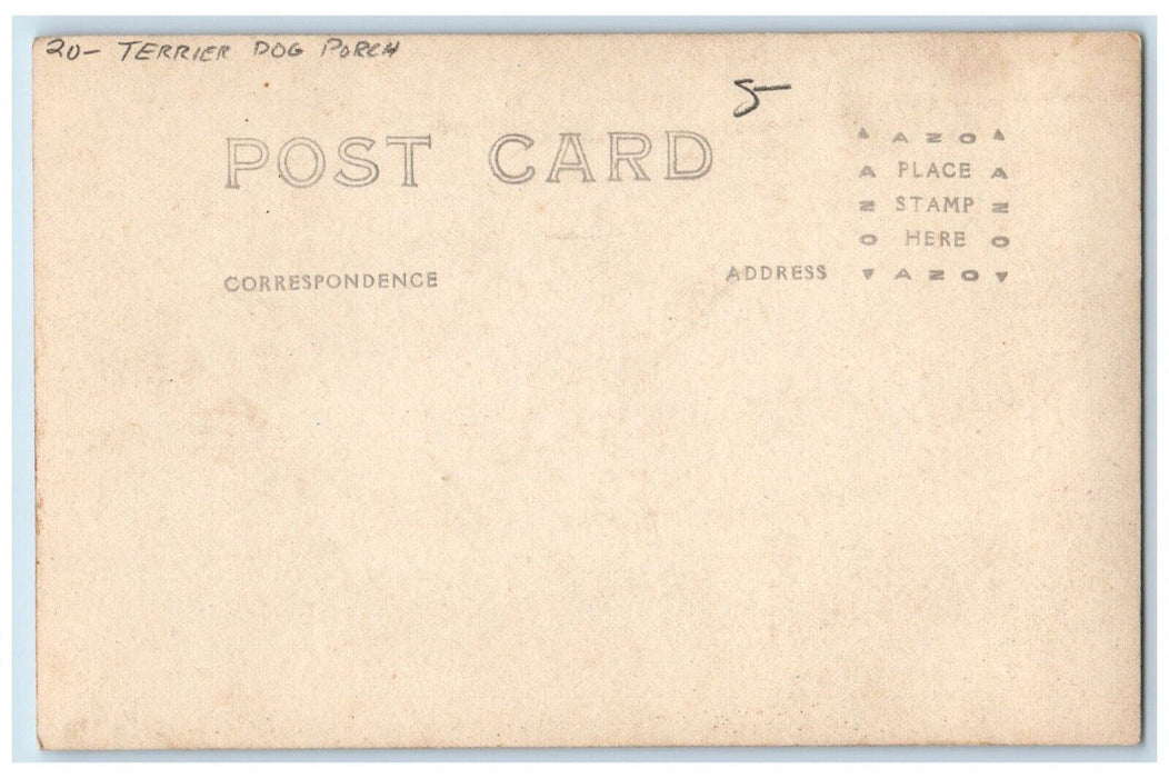 c1910's Cute Terrier Dog At Porch RPPC Photo Unposted Antique Postcard
