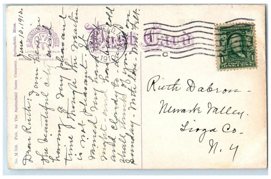 1910 Sheep in Forest Park Springfield Massachusetts MA Antique Postcard