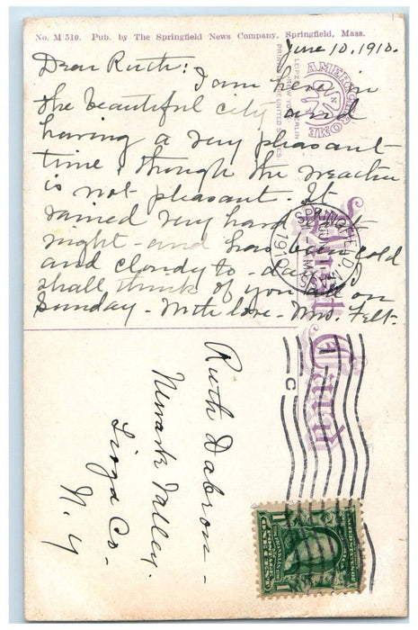 1910 Sheep in Forest Park Springfield Massachusetts MA Antique Postcard