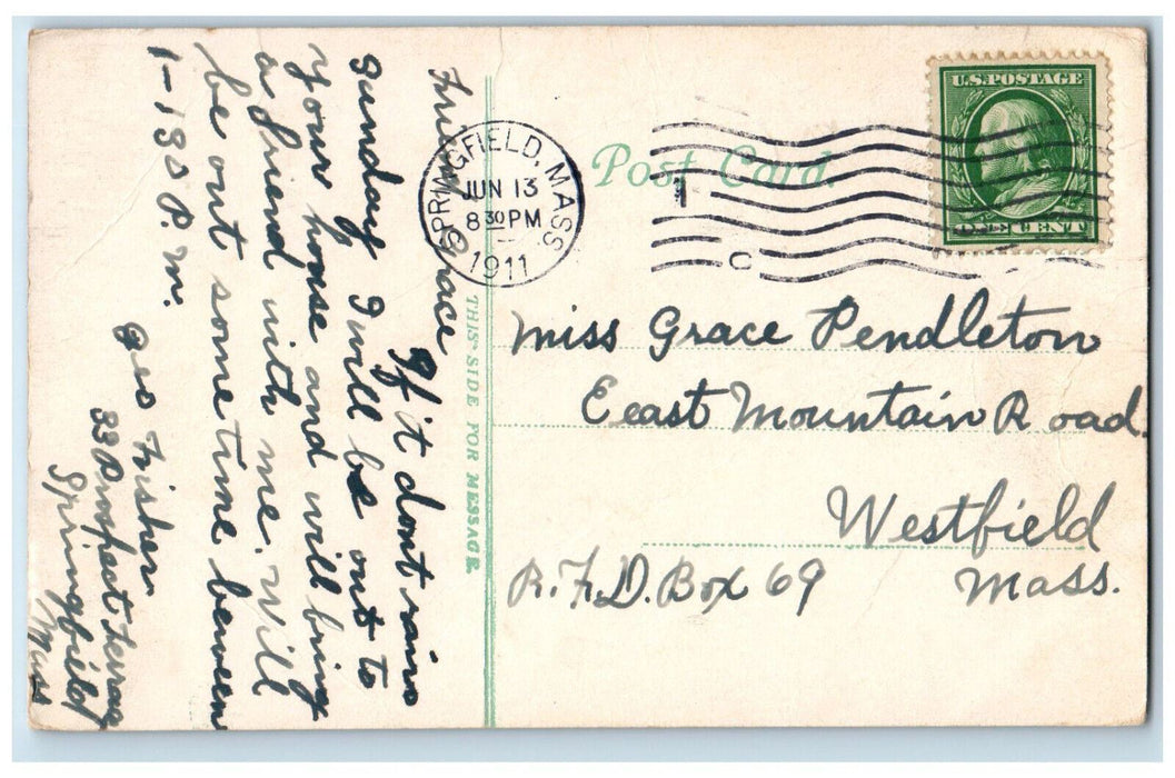 1911 Deer in Forest Park Springfield Massachusetts MA Antique Postcard
