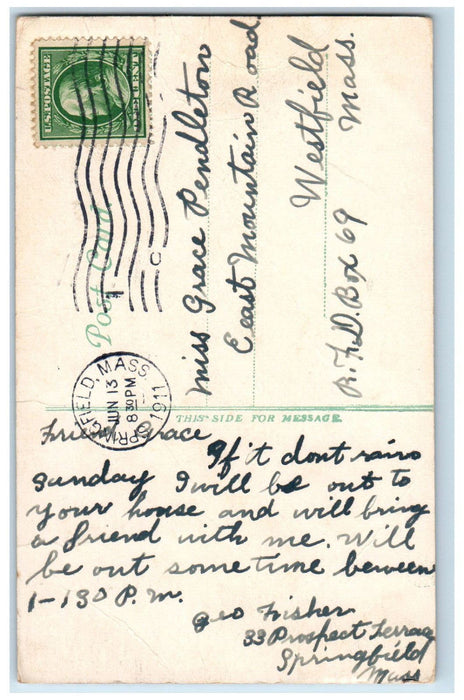 1911 Deer in Forest Park Springfield Massachusetts MA Antique Postcard