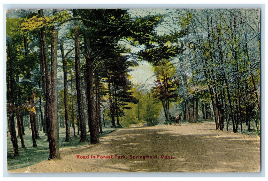 1911 Horse Carriage Road in Forest Park Springfield Massachusetts MA Postcard