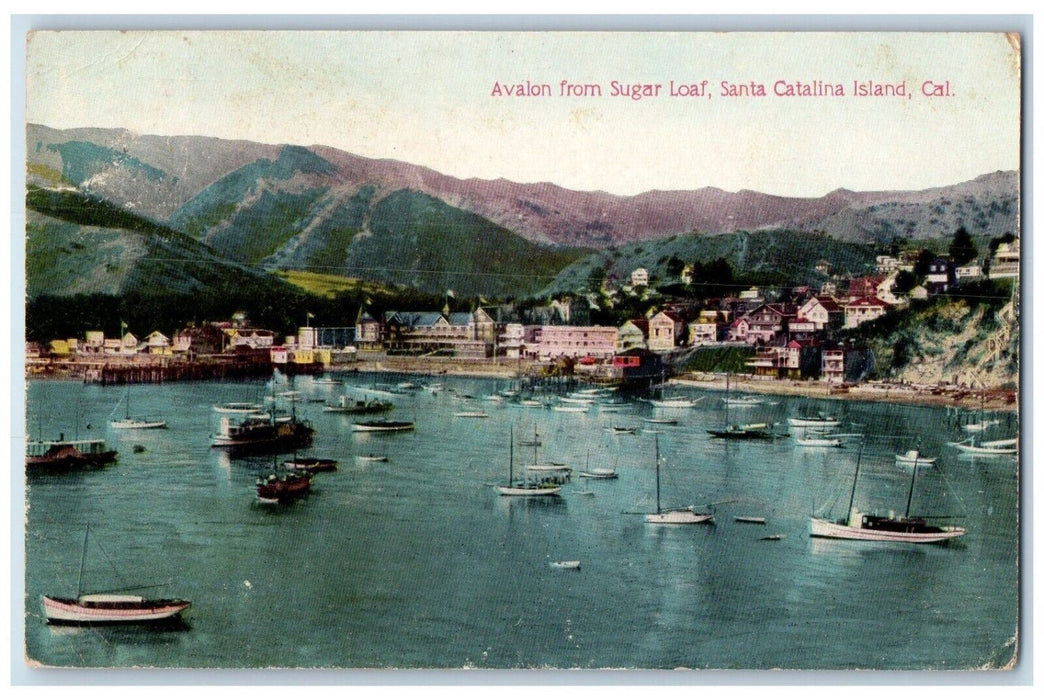1910 Avalon Sugar Loaf Steamer Yacht Santa Catalina Island California Postcard