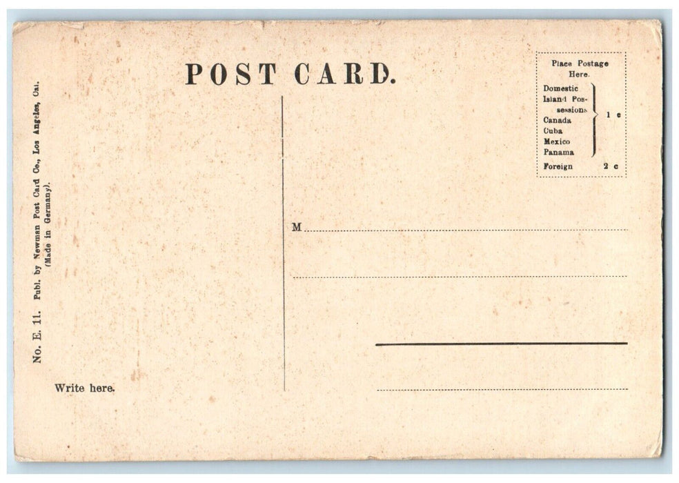 c1910 Feeding Ben Giant Sea Lion Beach Santa Catalina Island California Postcard