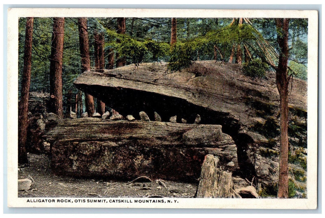 c1920's Alligator Rock Otis Summit Catskill Mountains New York NY Postcard