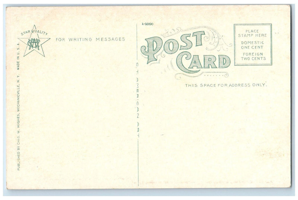 c1920's Alligator Rock Otis Summit Catskill Mountains New York NY Postcard