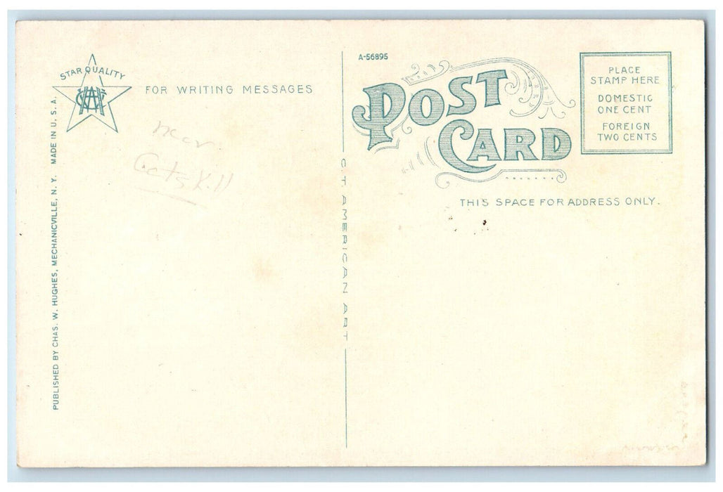 c1920's Kaaterskill Clove Top of Haines Falls Catskill Mountains NY Postcard