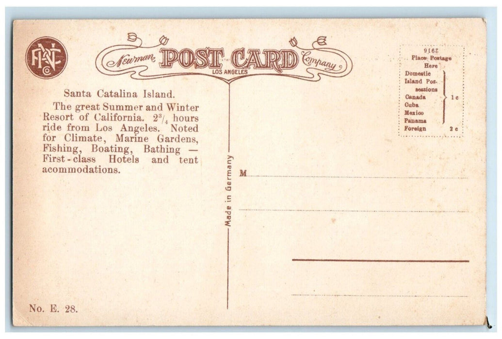 c1910 Avalon Catalina Island Rocks Sugar Loaf Boating Fish Los Angeles Postcard