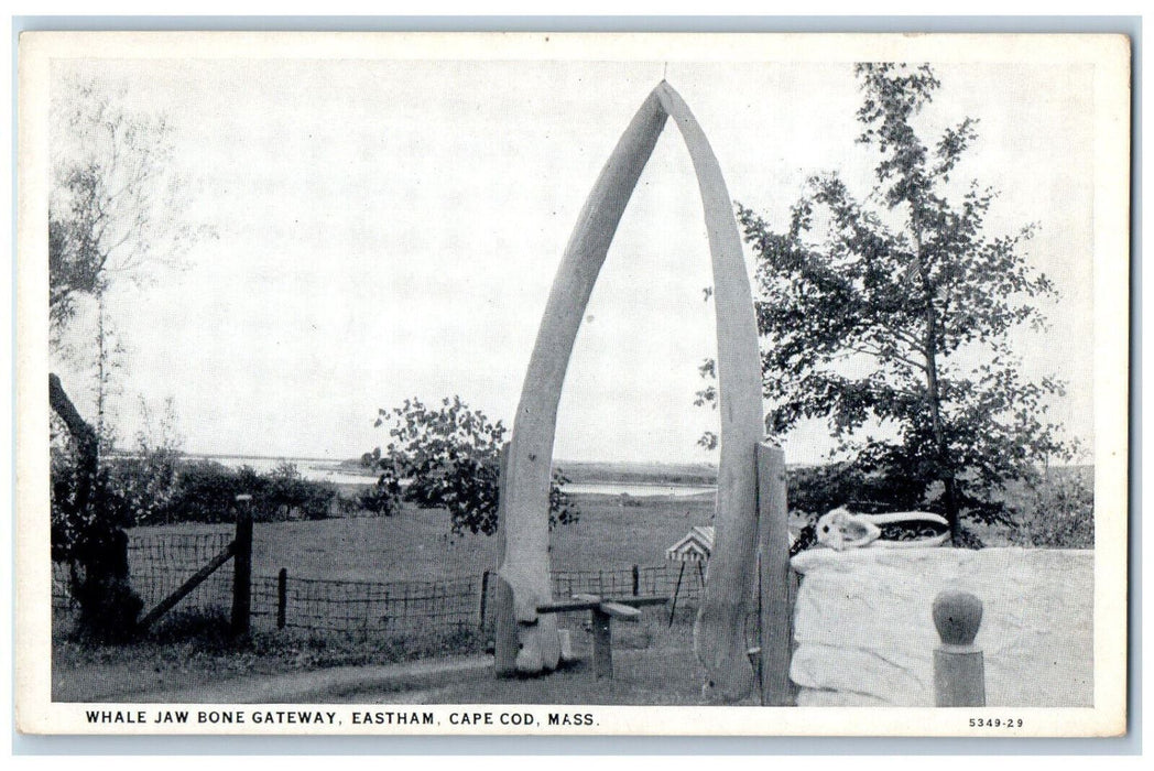c1940's Whale Jaw Bone Gateway Cape Cod Massachusetts MA Vintage Postcard