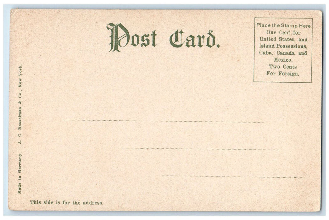c1910 Wachusett Boat Club Lake Quinsigamond Worcester MA Antique Postcard