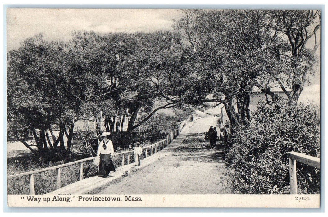 c1910 Horse Carriage Way Up Along Provincetown Massachusetts MA Antique Postcard