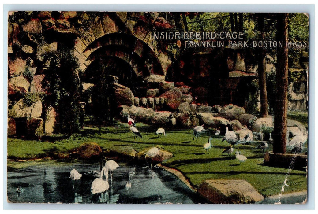 1913 Inside of Bird Cage Franklin Park Boston Massachusetts MA Antique Postcard