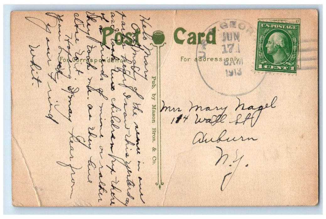 1913 Inside of Bird Cage Franklin Park Boston Massachusetts MA Antique Postcard