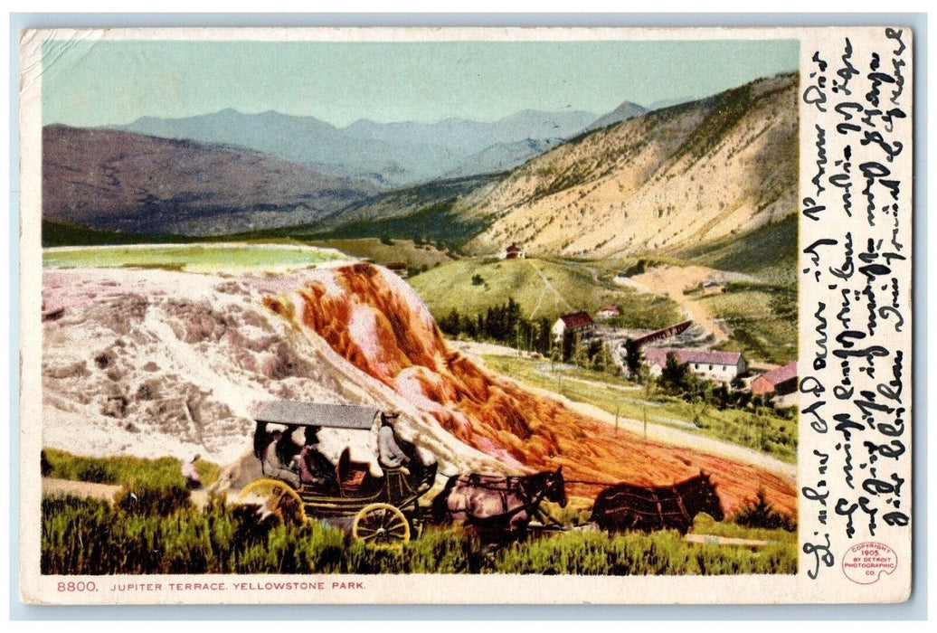 1906 Jupiter Terrace Horse Carriage Road Yellowstone Park California CA Postcard