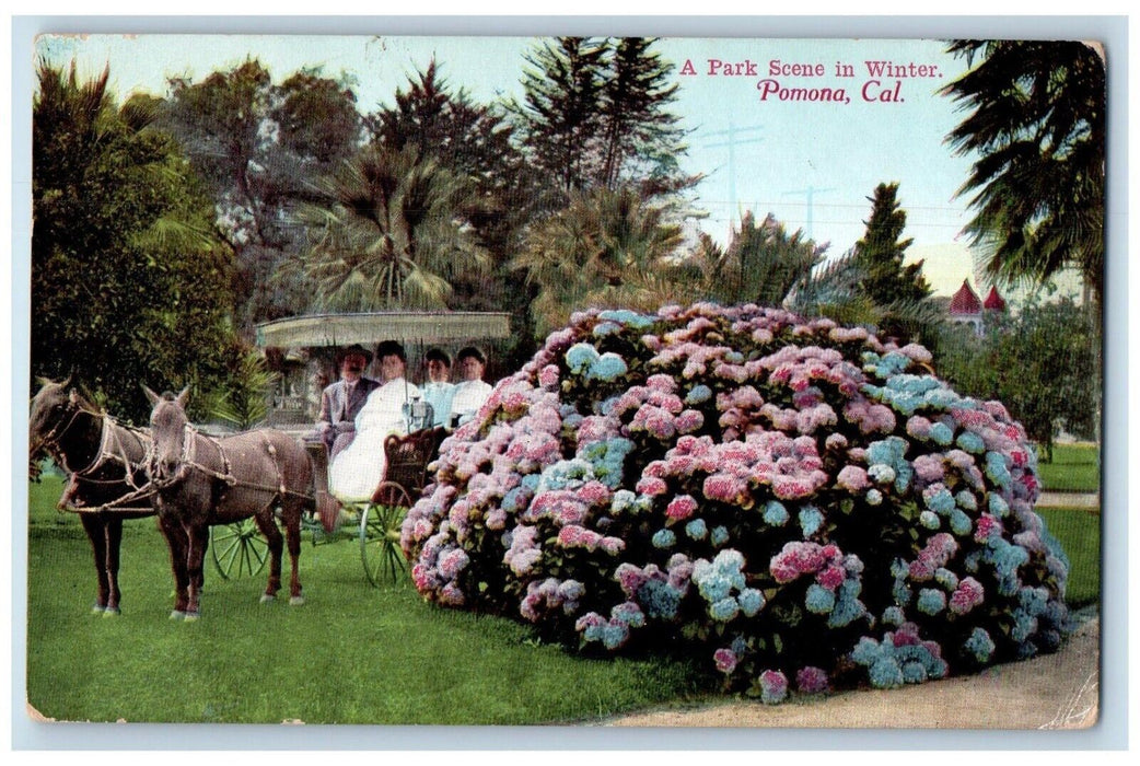 c1910 Park Scene Winter Horse Carriage Flower Garden Pomona California Postcard