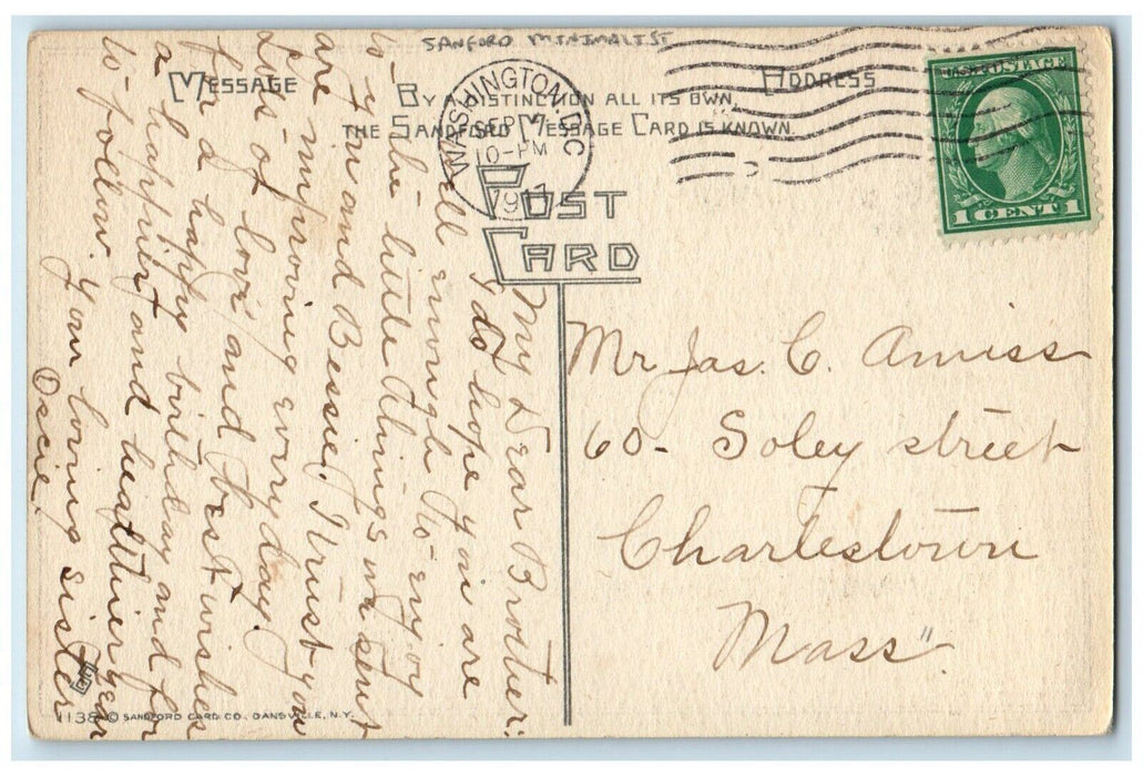 1917 Minimalist Pansies Flowers Sandford Washington DC Posted Antique Postcard
