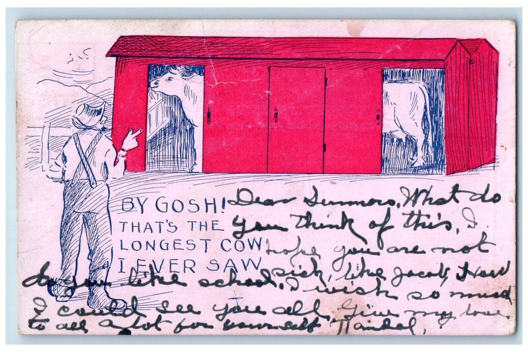 c1905 Old Man By Gosh That's The Longest Cow I Ever Saw Humor Antique Postcard