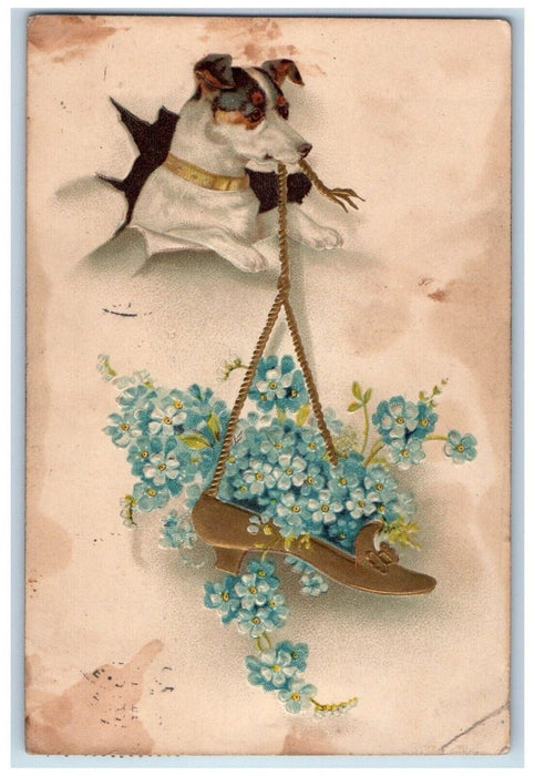 1910 Terrier Dog Hanging Shoes Pansies Flowers Embossed Posted Antique Postcard
