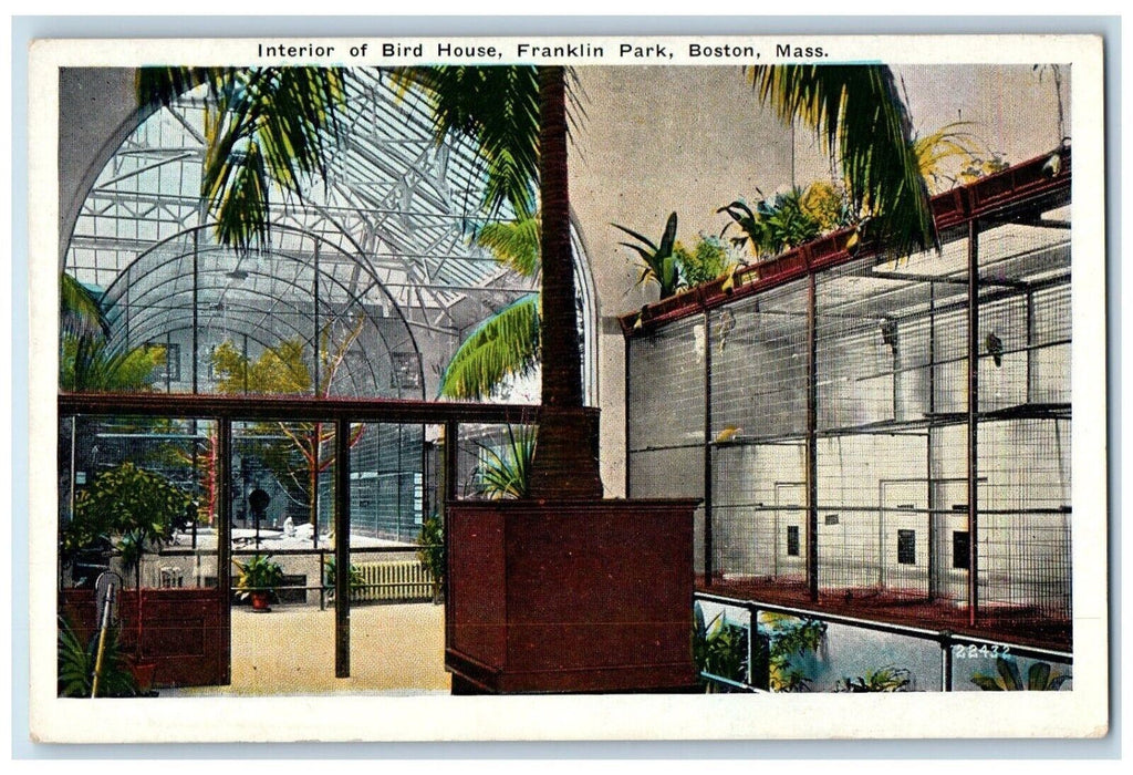 c1930's Interior Of Bird House Franklin Park Boston Massachusetts MA Postcard