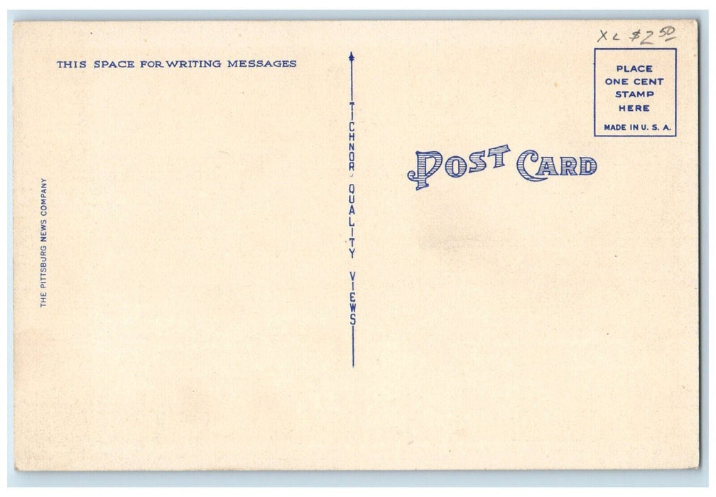 c1930's View Of The Point At Night Bridge Pittsburg Pennsylvania PA Postcard