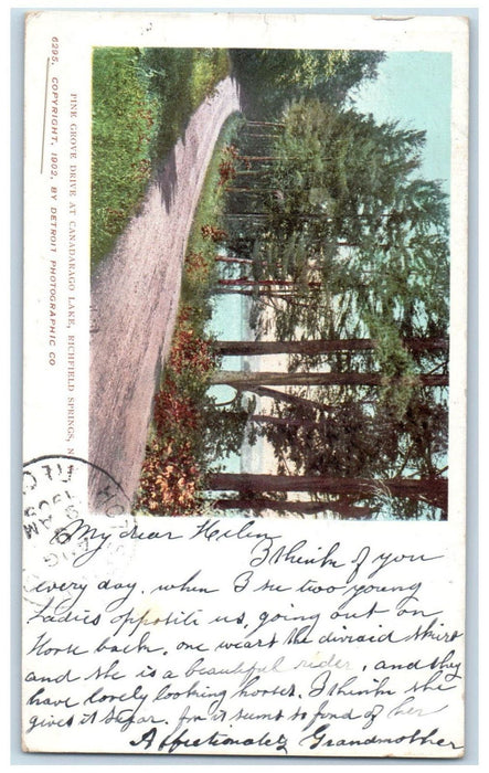 c1905 Pine Grove Drive At Canadarago Lake Richfield Springs New York NY Postcard