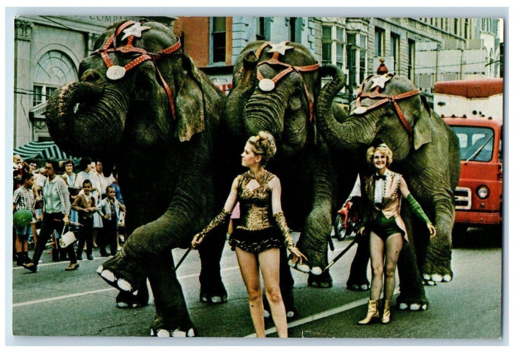 c1960's Elephants Parade Circus City Festival Peru Indiana IN Vintage Postcard