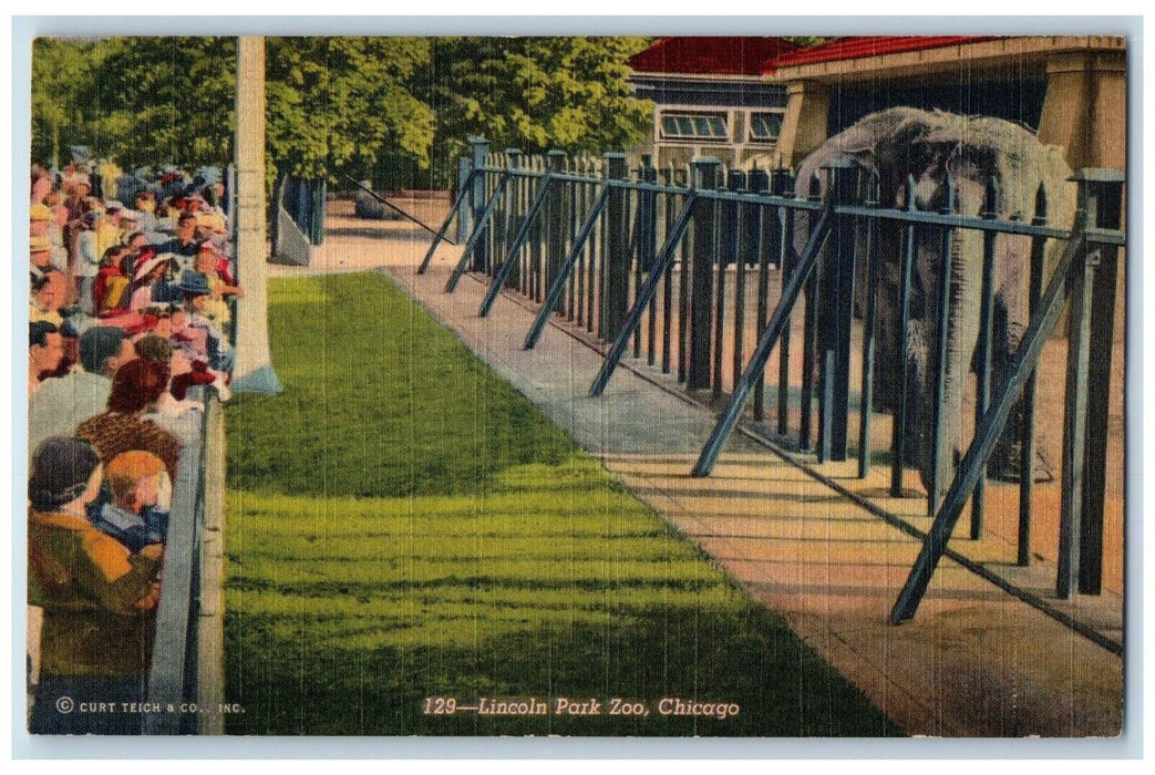c1940's Lincoln Park Zoo Elephant Chicago Illinois IL Unposted Vintage Postcard